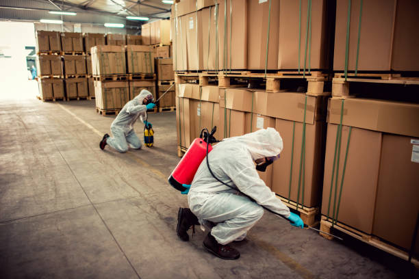 Best Exterminator Services  in Heavener, OK