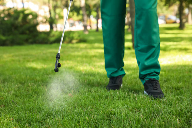 Best Pest Control Near Me  in Heavener, OK