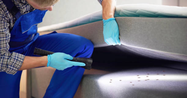 Best Residential Pest Control  in Heavener, OK