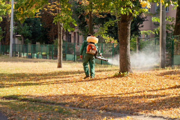 Best Affordable Pest Control Services  in Heavener, OK