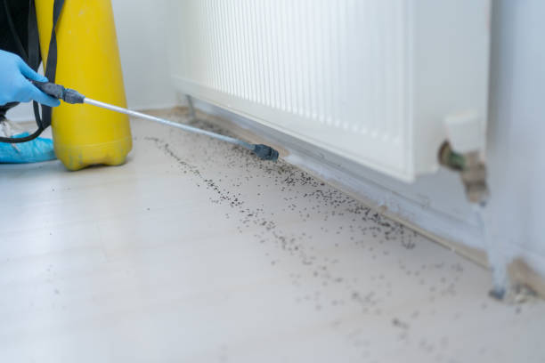 Best Pest Removal Services  in Heavener, OK