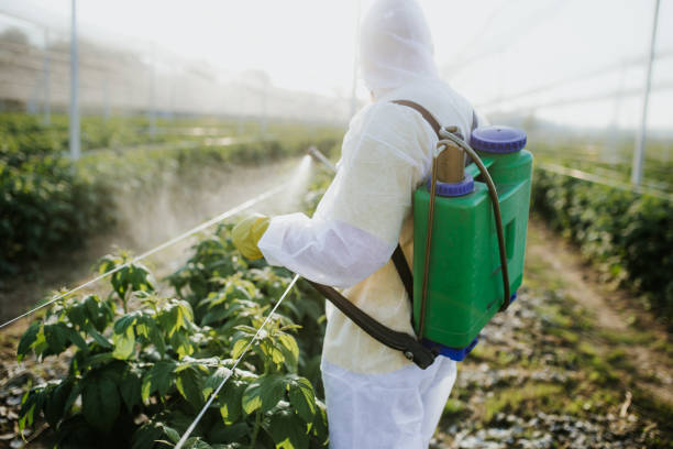 Best Local Pest Control Services  in Heavener, OK